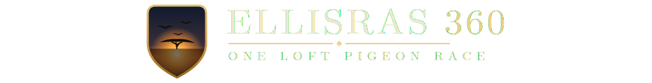 Ellisras 360 One Loft Pigeon Race